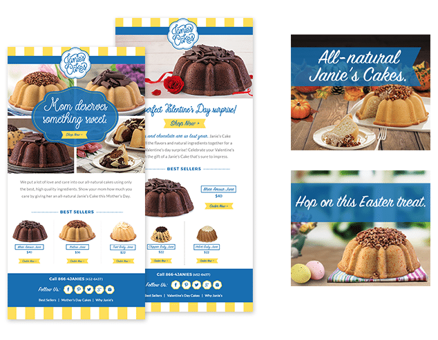janie's cakes case study janie's cakes case study
